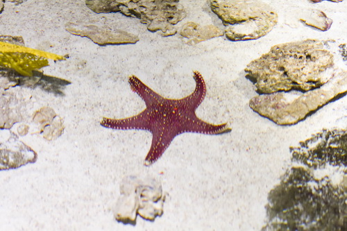 Going out. Кирюха 1,5 года