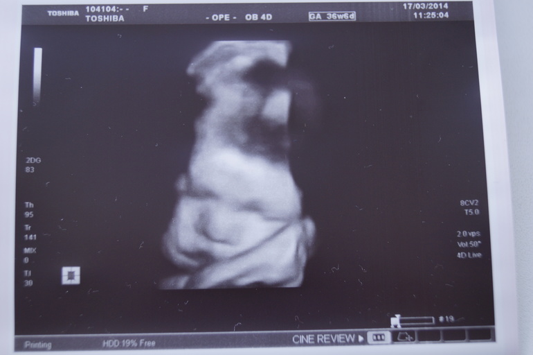 Наш хомячок))))