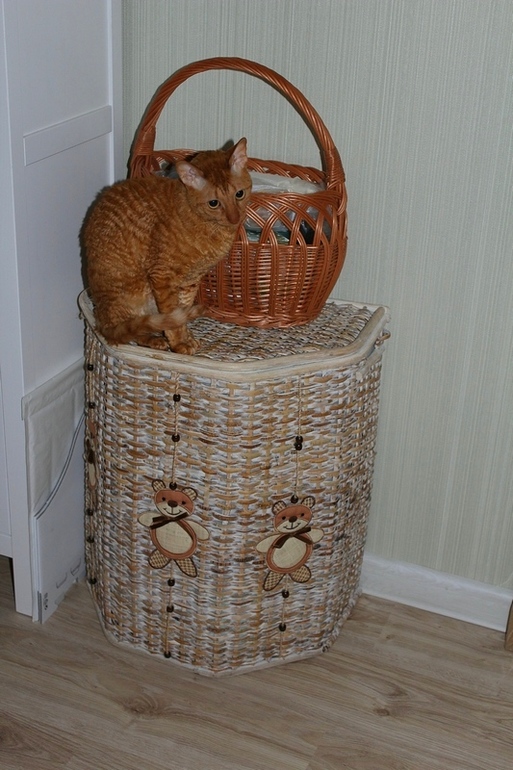 Мой персональный райский уголок.