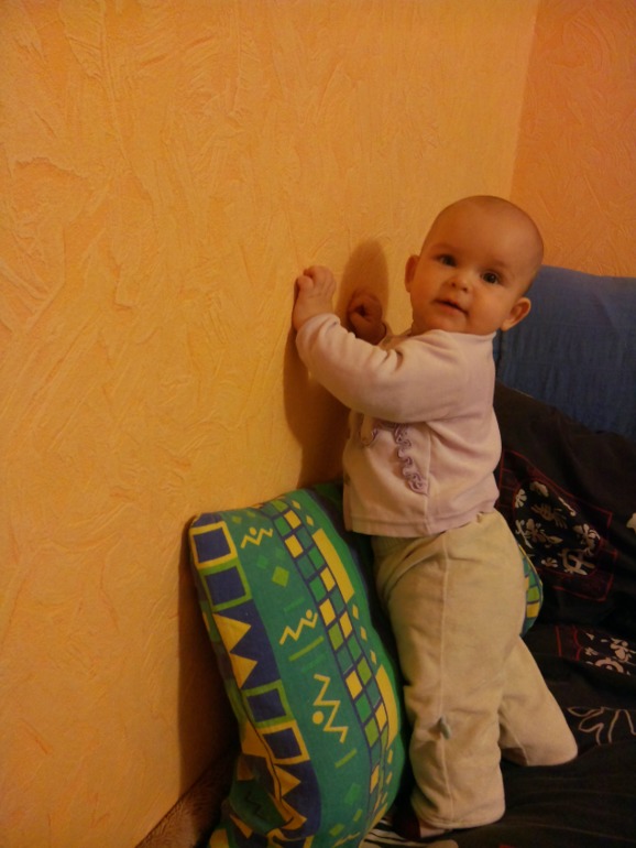 7 месяцев