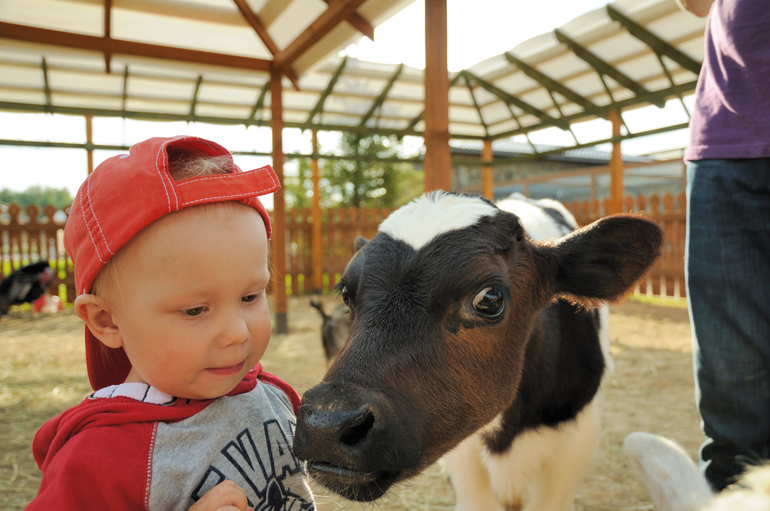 Эзотик парк - впечатления и фото