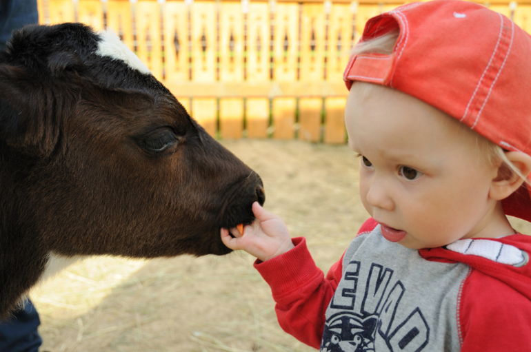 Эзотик парк - впечатления и фото