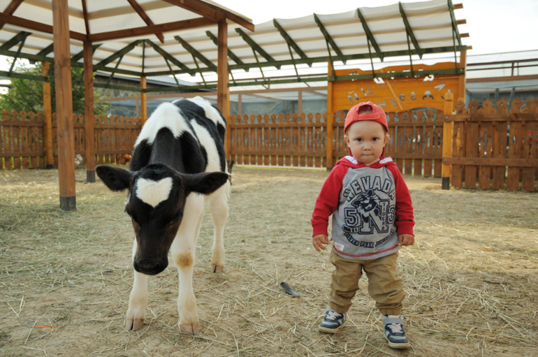 Эзотик парк - впечатления и фото