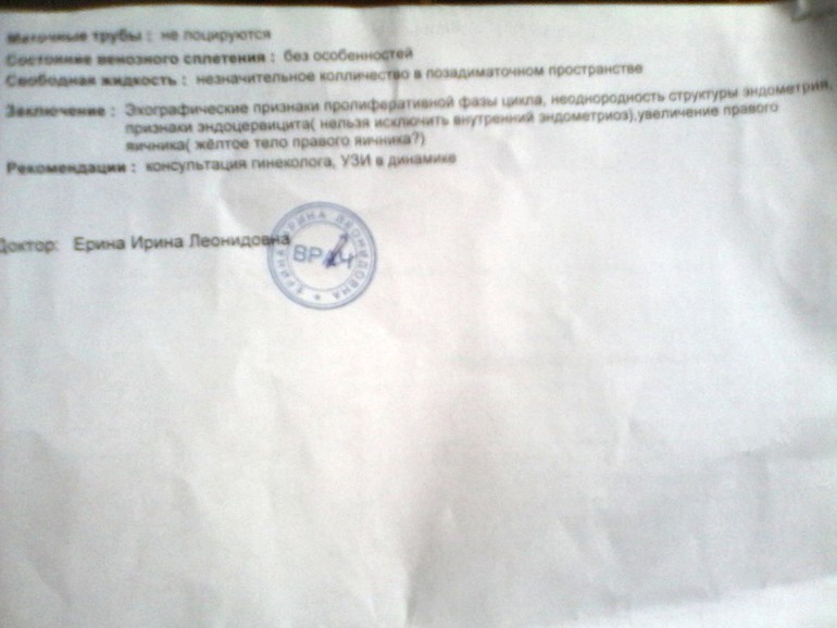 Реву...мои нервы сдают.УЗИ