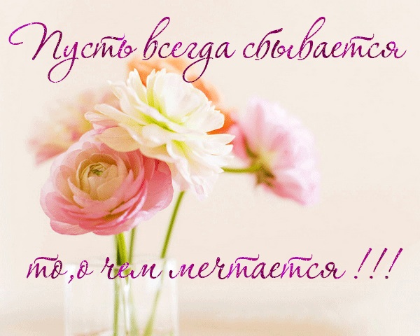 7d721cc5ca17a2ee9d451712d2b48061.jpg