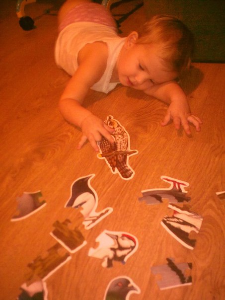 Пазлы в 2 года -какие?