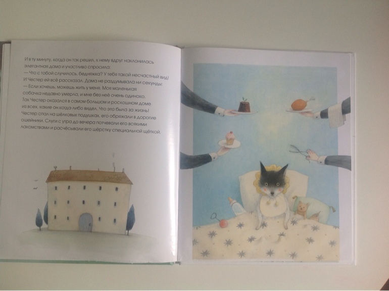 Приключения Честера. Айяно Имаи.