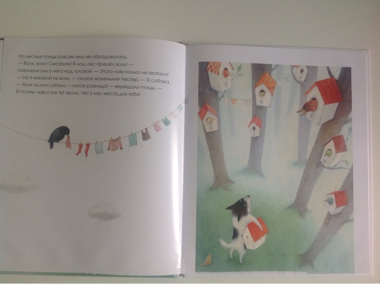 Приключения Честера. Айяно Имаи.