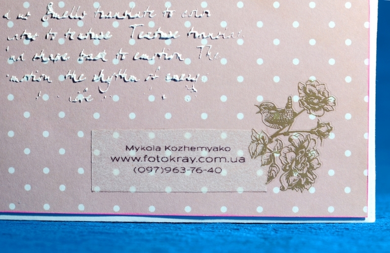 Коробка для CD дисков - свадебная фотосессия.