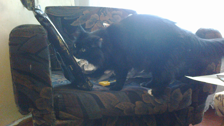 Супер обмен! Супер посылка! Супер жирафик!