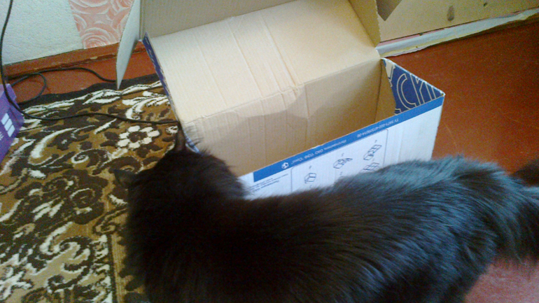 Супер обмен! Супер посылка! Супер жирафик!