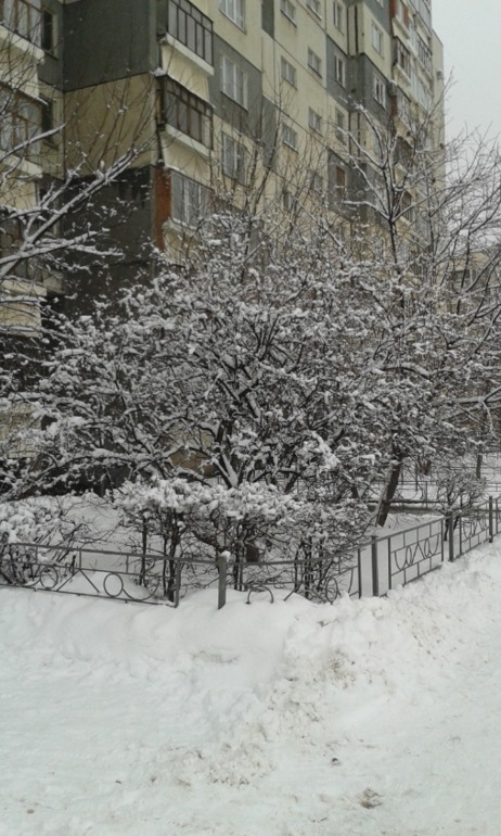 Начало нашей зимы : )