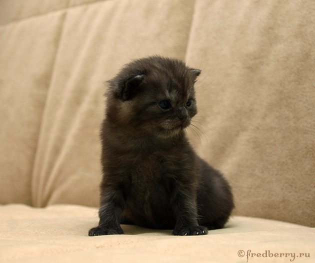 А нам 3 недельки :)