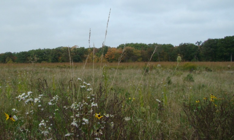 Солнце, волны и песок.