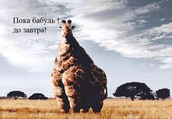 Старт 30,06!!! Неделя 1, день шестой!