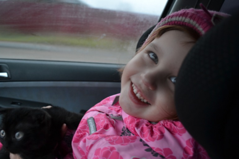 Кирюша и поездка далеко-далеко...