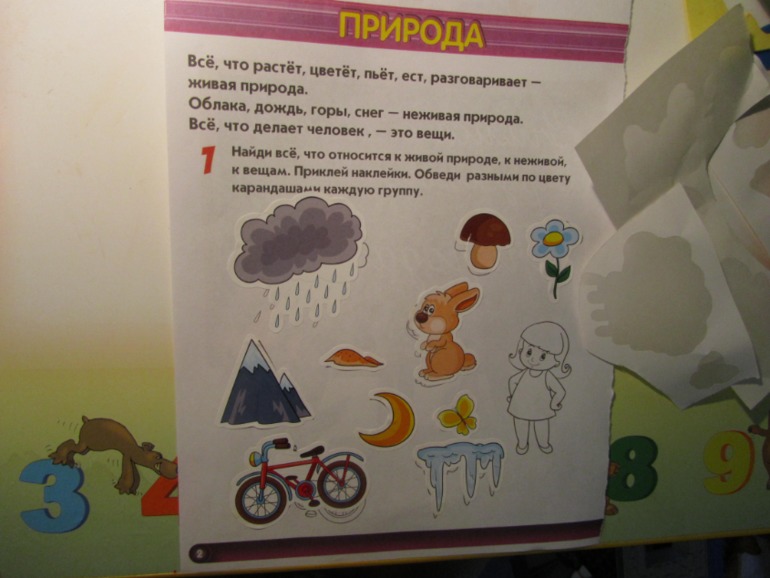 Наши занятия. Осень 4