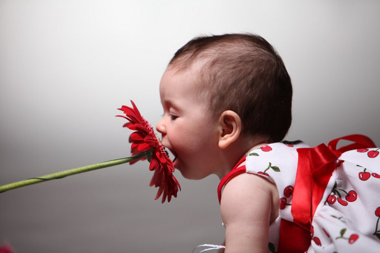 Девочки, кому интересна семейная фотосессия у замечательного фотографа!