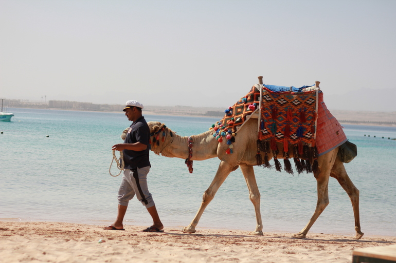 Отдохнули на море