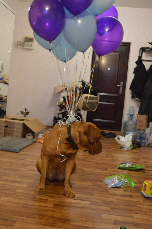 Федя один год фото)