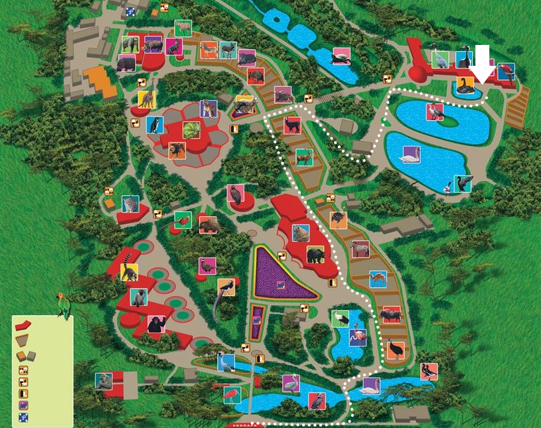 Встреча ББ-шек. 13 апреля.