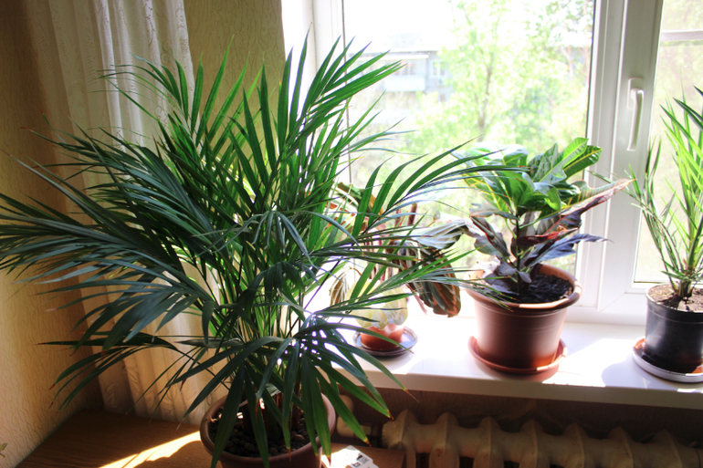 Эволюция продолжается)))