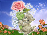 6b43bfea41a066beaddef60bade652fa.jpg