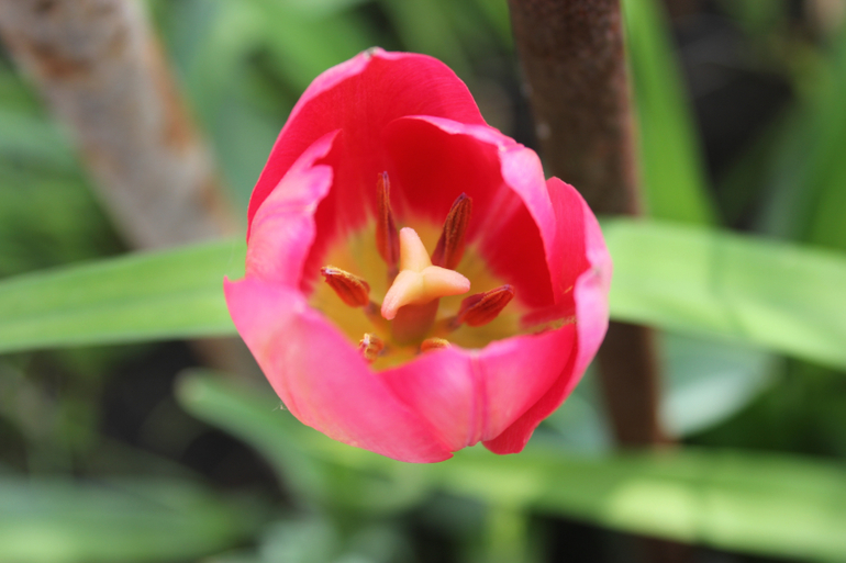 Наша первая поездка!=))))Отдых и умелки!!!