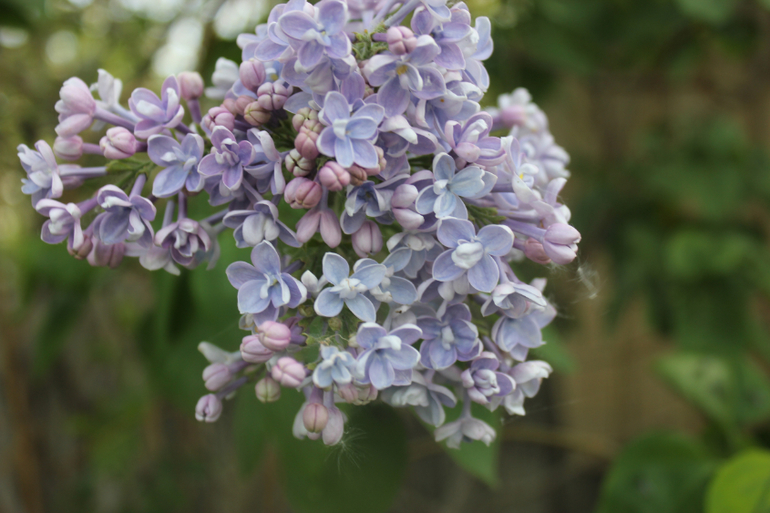 Наша первая поездка!=))))Отдых и умелки!!!
