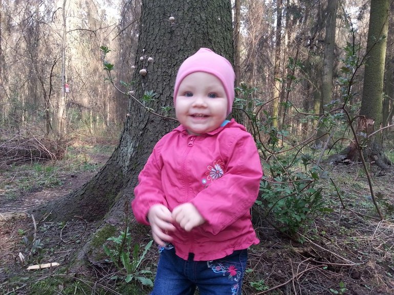 Воскресная прогулка в лесу