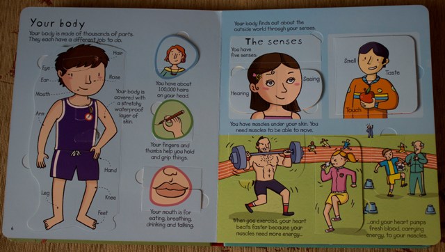 Отчет по лотерее 26.