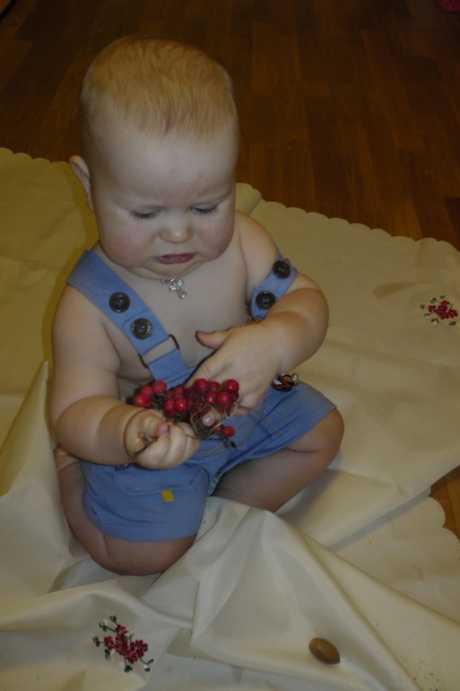 ТН Осень Д.1