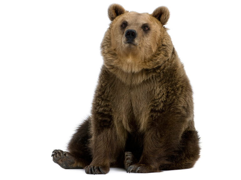 Отчеты по первому дню