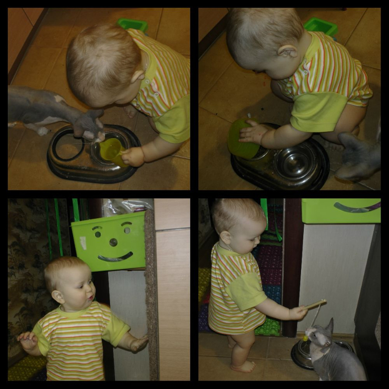 ТД "Мы едем, едем, едем.."