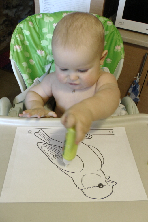 ФМ Домашние животные