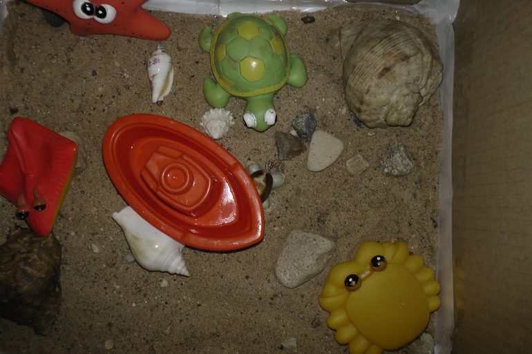 ФМ Домашние животные