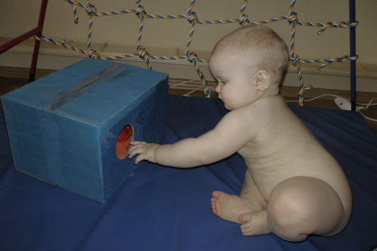 ФМ Домашние животные