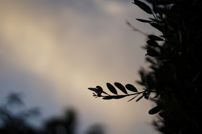 Весна в Хургаде