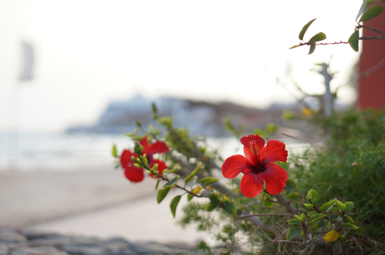 Весна в Хургаде