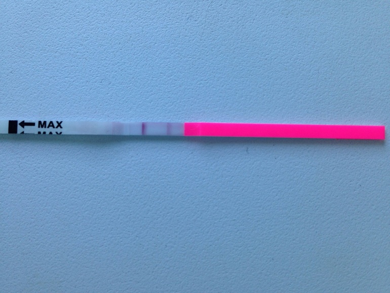 Овуляша долгожданная:)