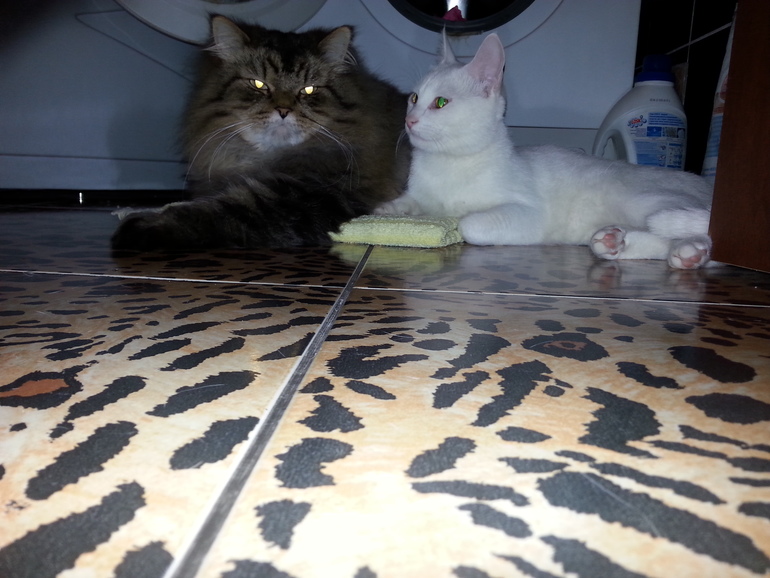 Лекарство от глистов...