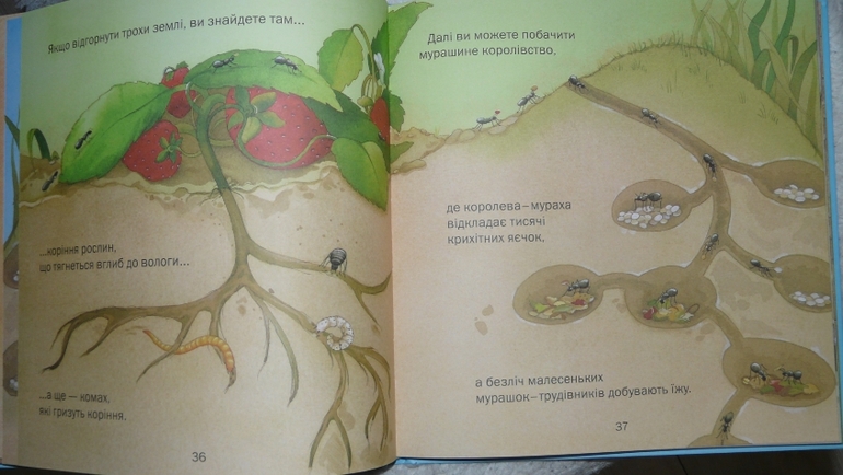 Украинские книги.