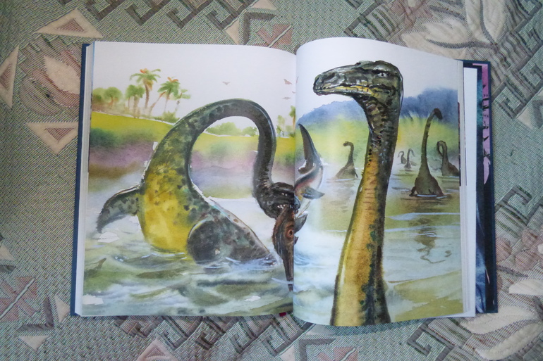 Наши новинки.