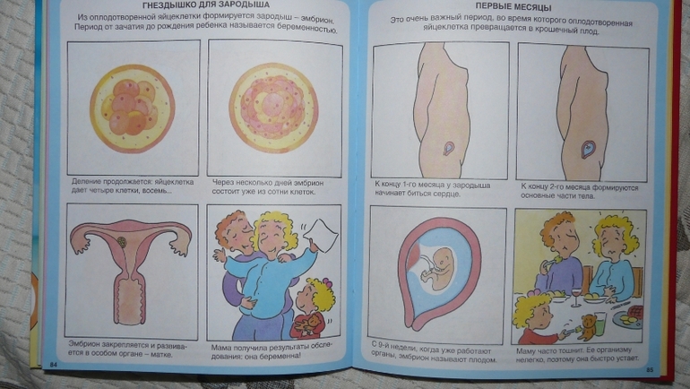 Долгожданное пополнение!