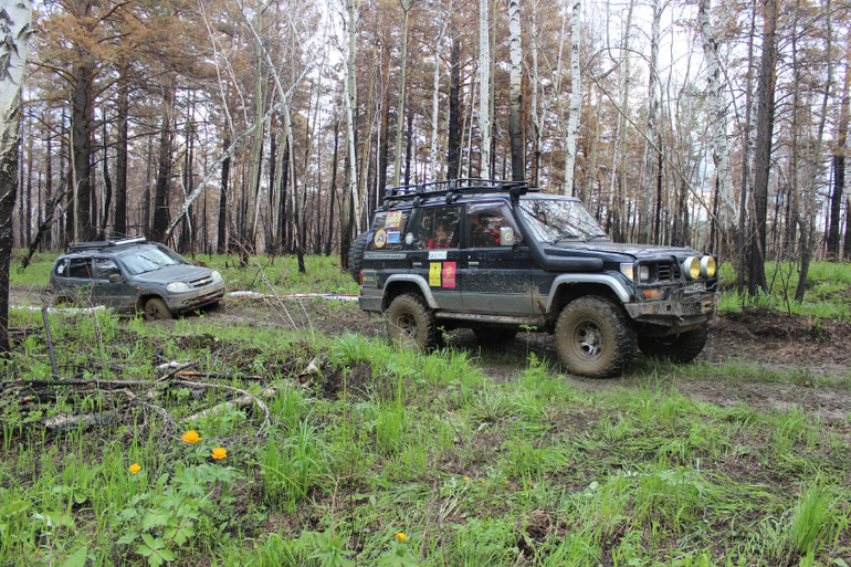 Жыпопокатушки