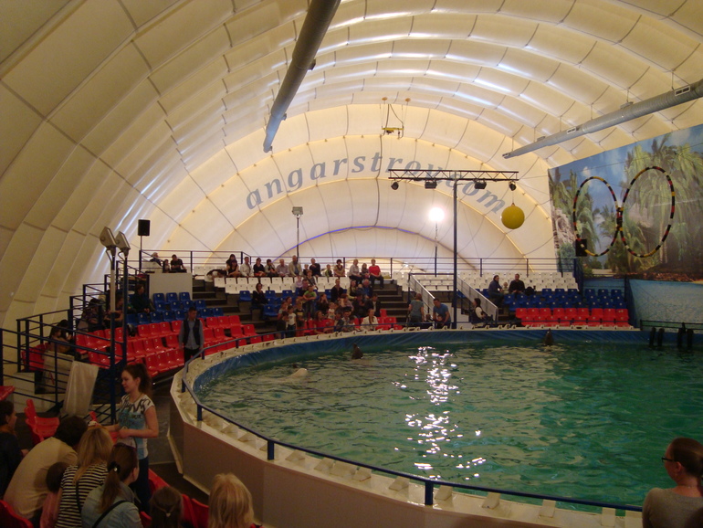 Дельфинарий на ВВЦ