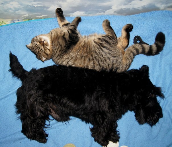 ну и я своих покажу)