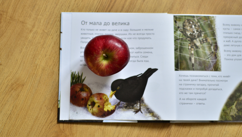 Как мы изучали овощи и фрукты