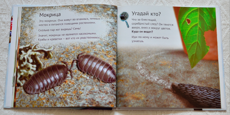 Эту книгу мы возьмем с собой на дачу - 2