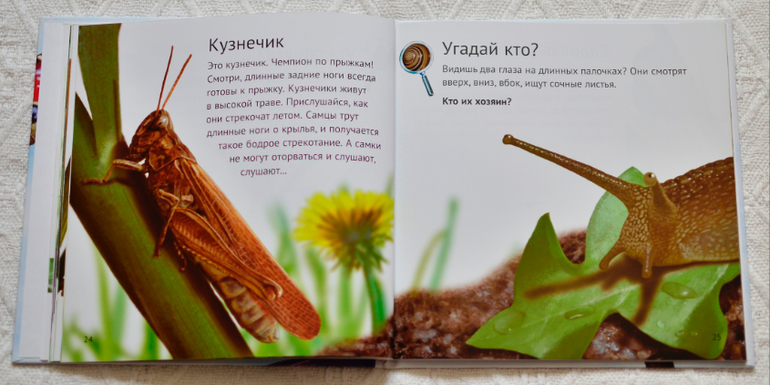 Эту книгу мы возьмем с собой на дачу - 2